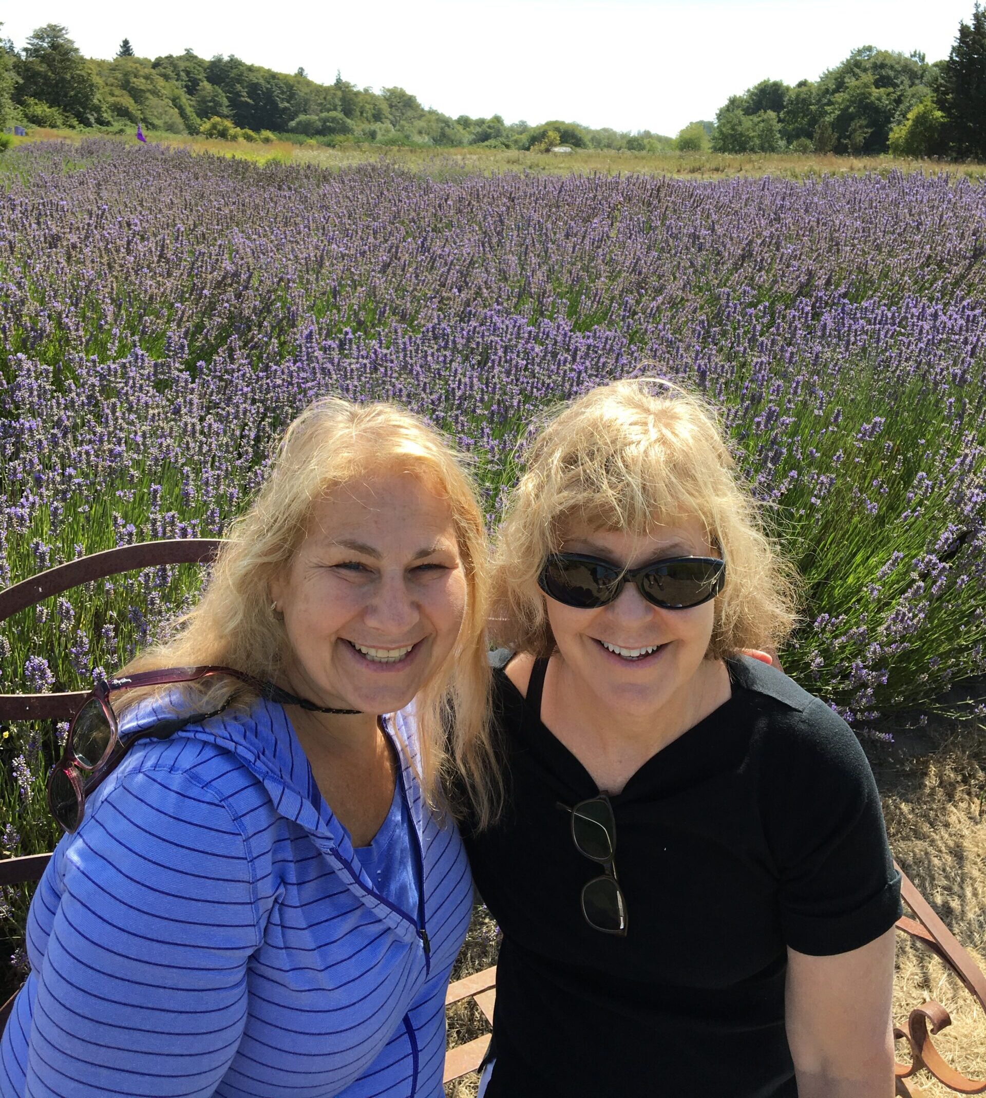 Sequim Lavender Farm 2016, Lynn Anderson & Lynda Leslie, from Lynda Leslie