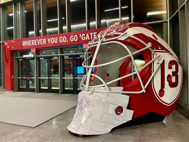 Reunion 2025, hockey helmet, by Jim Bilbo