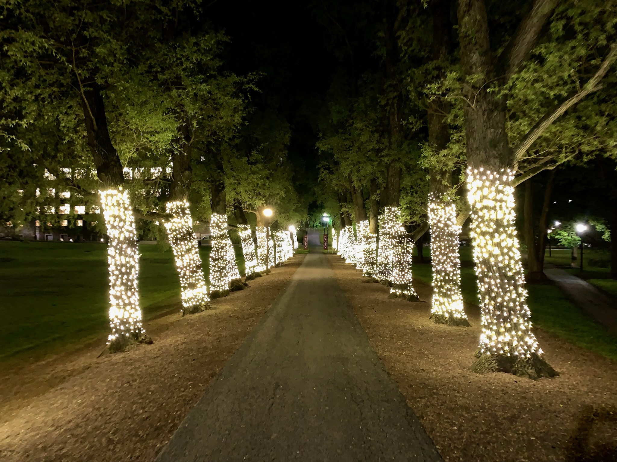 Willow-Path-fullsize-render